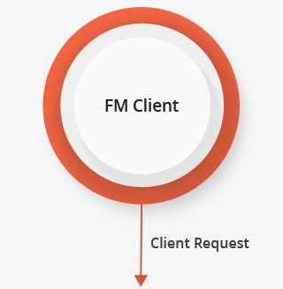 FM Client